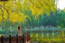 麻豆日记App下-麻豆日记App，生活记录的随身宝典
