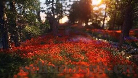 追妻三人行-追妻三人行，爱与勇气的交织篇章